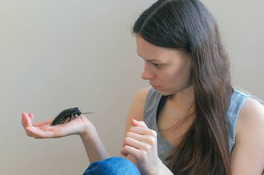 Young woman holding a male of Gromphadorhina portentosa the hissing cockroach, one of the largest species of Madagascar cockroach. clipart