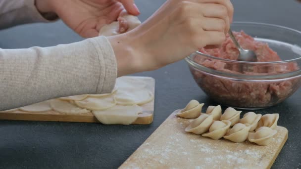 Woman makes dumplings with mince meat, close-up hands. — Stock Video