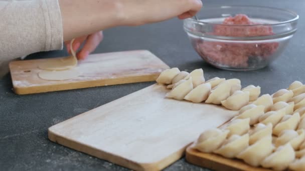 Kvinna gör dumplings med köttfärs kött, närbild händer. — Stockvideo