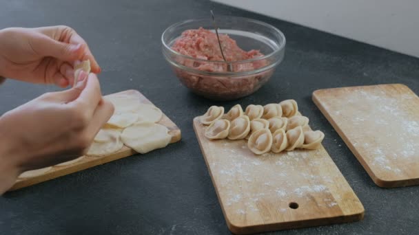 Mujer hace albóndigas con carne picada, manos de cerca . — Vídeo de stock