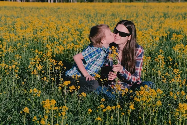 Chłopak daje matka bukiet dzikich kwiatów i całuje jej siedząc na trawie wśród żółte kwiaty. — Zdjęcie stockowe
