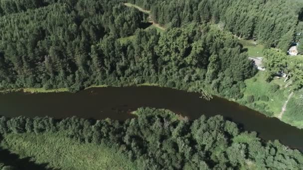 Vista aérea bonita do rio e aldeia entre a floresta . — Vídeo de Stock