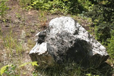 Büyük bir taş. Peyzaj tasarımı açık.