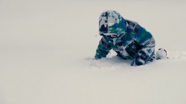 Garçon joue dans les dérives de neige en hiver. Rampe et creuse dans la neige . — Video