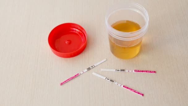 Drie positieve zwangerschapstest resultaat met twee strips op de tafel. Naast de urine kan. — Stockvideo