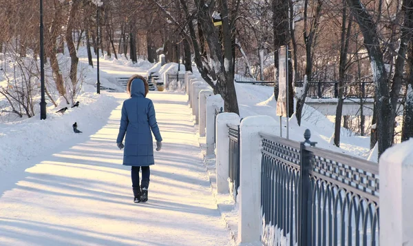 Jovem mulher de casaco azul para baixo com capuz de pele andando no parque de inverno. Visão traseira . — Fotografia de Stock
