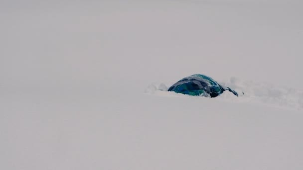 Garçon joue dans les dérives de neige en hiver . — Video