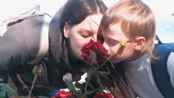 Μητέρα και γιος μαζί sniffing ένα τριαντάφυλλο. — Αρχείο Βίντεο