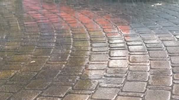 Капли сильного дождя на тротуар . — стоковое видео