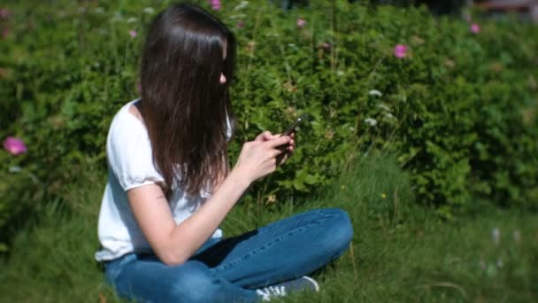 Γυναίκα είναι πληκτρολογώντας ένα μήνυμα στο κινητό τηλέφωνο κάθεται στο πάρκο σε ηλιόλουστη μέρα, κουβεντιάζοντας. Πλάγια όψη. — Αρχείο Βίντεο