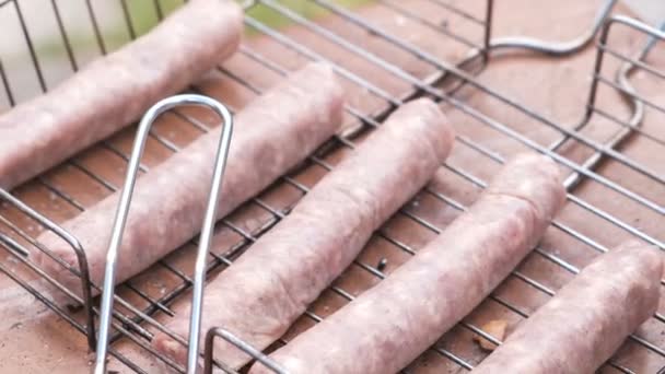 Saucisses sur le grill . — Video