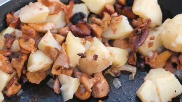 Patatas fritas con champiñones y cebollas. Primer plano . — Vídeos de Stock