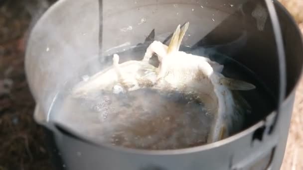 Рыба готовится в кастрюле в природе . — стоковое видео