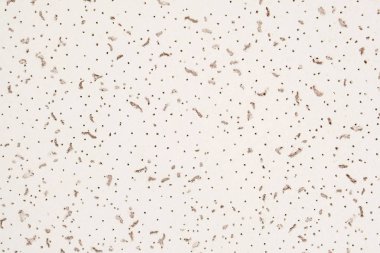 Sızdıran beyaz yüzey dokusu. Arka kavramı.