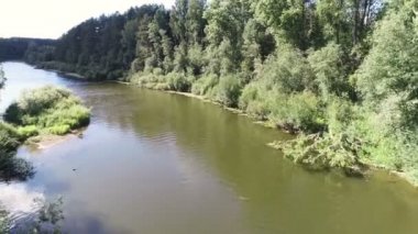 Güneşli yaz günü ormanda arasında Nehri'nin güzel havadan görünümü.