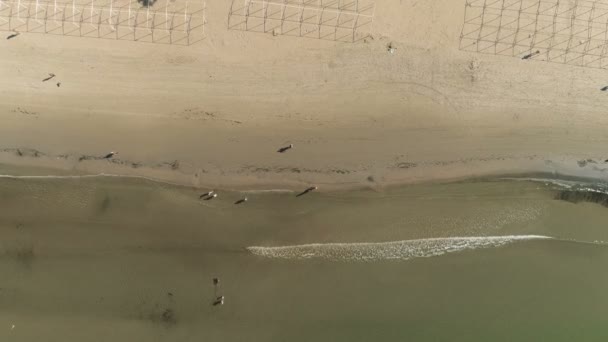 Luchtfoto bovenaanzicht van zand strand met kleine golven en wandelende mensen. — Stockvideo