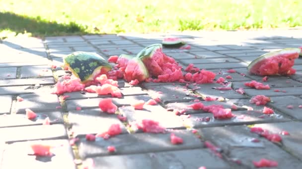 Sappige smashed watermeloen gebroken op bestrating platen. Stukjes watermeloen op het land. — Stockvideo