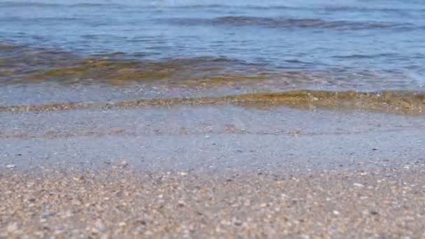 Sandstrand med små bølger. Vakkert landskap . – stockvideo