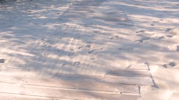 Houten promenade pad op het zandstrand. Sporen van dieren en mensen op het zand. — Stockvideo