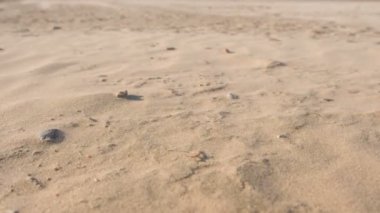 Kum plaj kum fırtınası yakın çekim.