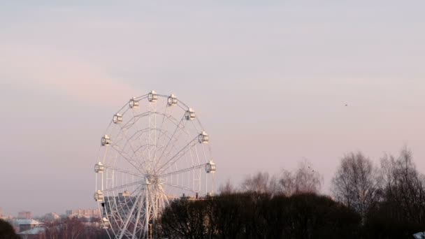 Riesenrad im Winterpark vor dem Hintergrund der Stadt. Rosafarbener Abendhimmel. — Stockvideo