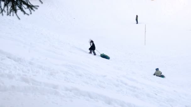 Βόλτα με τα παιδιά από τα χιονισμένα βουνά στη σωλήνωση στο χειμερινό πάρκο. — Αρχείο Βίντεο