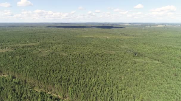 Vista aérea hermosa del bosque verde. Paisaje con cielo y bosque . — Vídeos de Stock