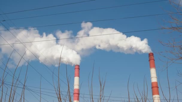 Twee rode en witte pijpen van thermische elektriciteitscentrale met rook in de lucht en boom achtergrond. — Stockvideo