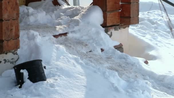 Βήματα από τα σκαλοπάτια που καλύπτονται με χιόνι. Γκρο πλαν είσοδο στο εξοχικό σπίτι το χειμώνα. — Αρχείο Βίντεο