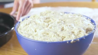 Mavi bir plastik kapta Hamur Mayaları hazırlanması bir pasta. Yakın çekim görünümü.