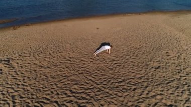 Şehrin nehrin yanında kum plaj üzerinde yoga yaparken kadın. Harika bir manzara.