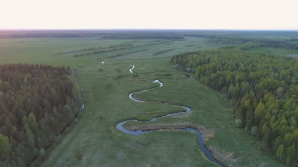 Vista aérea no campo, rio e floresta no início da primavera . — Vídeo de Stock