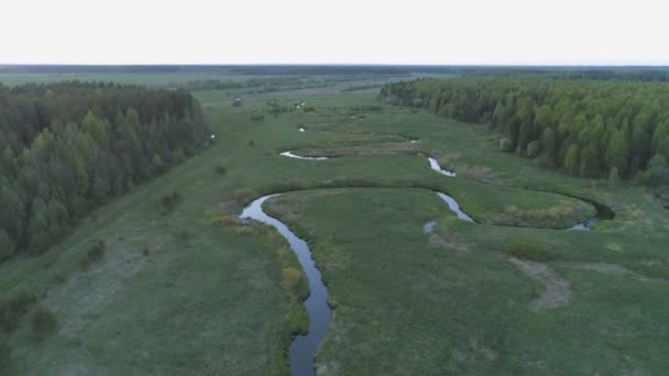 Вид с воздуха на поле, реку и лес ранней весной . — стоковое видео