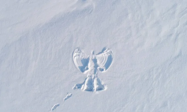 Des anges des neiges impriment sur une zone enneigée. Photo aérienne . — Photo