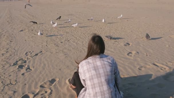 Mujer es la alimentación de aves gaviotas y cuervos en una playa de arena . — Vídeo de stock