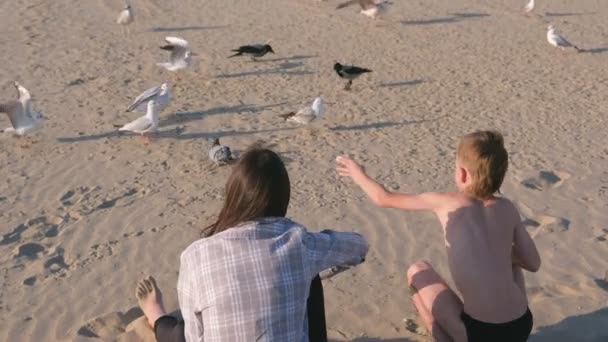 Maman et son fils nourrissent les oiseaux goélands et corbeaux sur une plage de sable avec des dunes . — Video