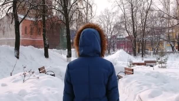 Mulher está andando no parque de inverno na cidade durante o dia em tempo nevado com neve caindo. Visão traseira . — Vídeo de Stock