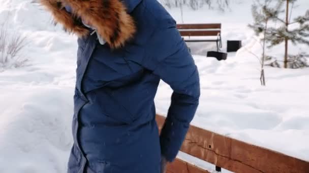 Femme Lève Banc Secoue Neige Les Feuilles Parc Ville Hiver — Video