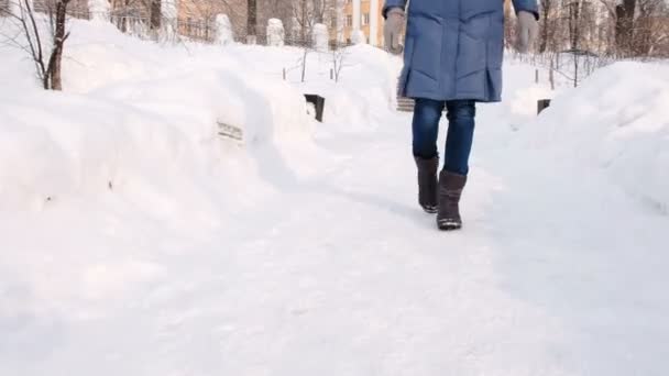 Zbliżenie womans nogi jest chodzenie w winter park w mieście w ciągu dnia w snowy pogody z padającego śniegu. Widok z przodu. — Wideo stockowe