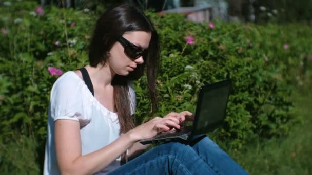 Девушка-брюнетка работает на ноутбуке, сидя в парке летом . — стоковое видео