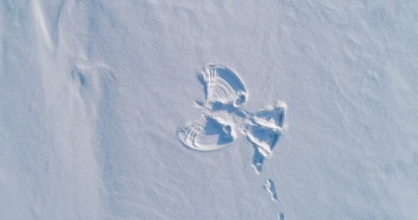雪の天使たちは、snowcovered 領域を印刷します。空中映像。カメラを回転します。. — ストック動画