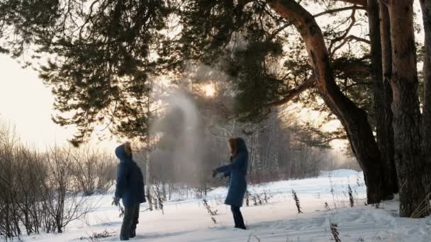 Hombre y mujer jugando bolas de nieve en el bosque de invierno. Puesta de sol en el bosque de invierno . — Vídeos de Stock