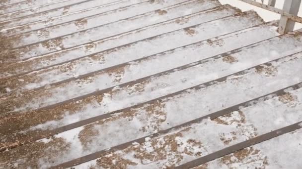 Stappen van de oude trap in de sneeuw. — Stockvideo