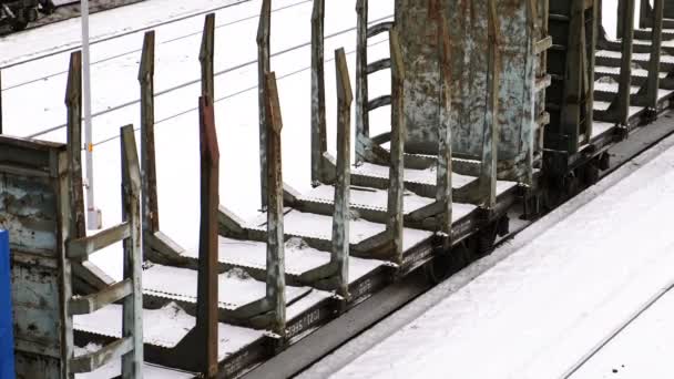 Güterwaggon für den Transport von Rundholz. Seitenansicht. — Stockvideo