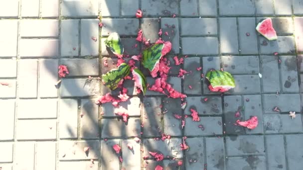 Saftig zerschmetterte Wassermelone auf Pflasterplatten zerbrochen. Wassermelonenstücke auf dem Land. — Stockvideo