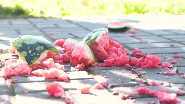 Saftiga krossade vattenmelon bruten på betongplattor. Bitar av vattenmelon på marken. — Stockvideo