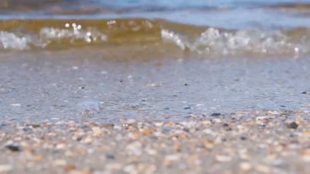 Praia de areia com ondas pequenas. Bela paisagem marinha . — Vídeo de Stock