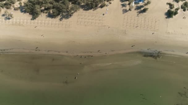 Вид с воздуха на песчаный пляж с небольшими волнами и прогулочными людьми . — стоковое видео