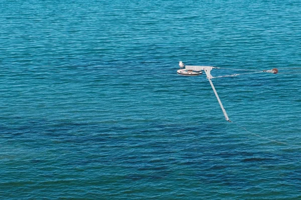 Verricello sul mare per il wakeboard. Gabbiano sul verricello . — Foto Stock