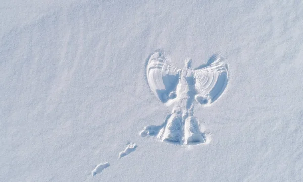 Des Anges Des Neiges Impriment Sur Une Zone Enneigée — Photo